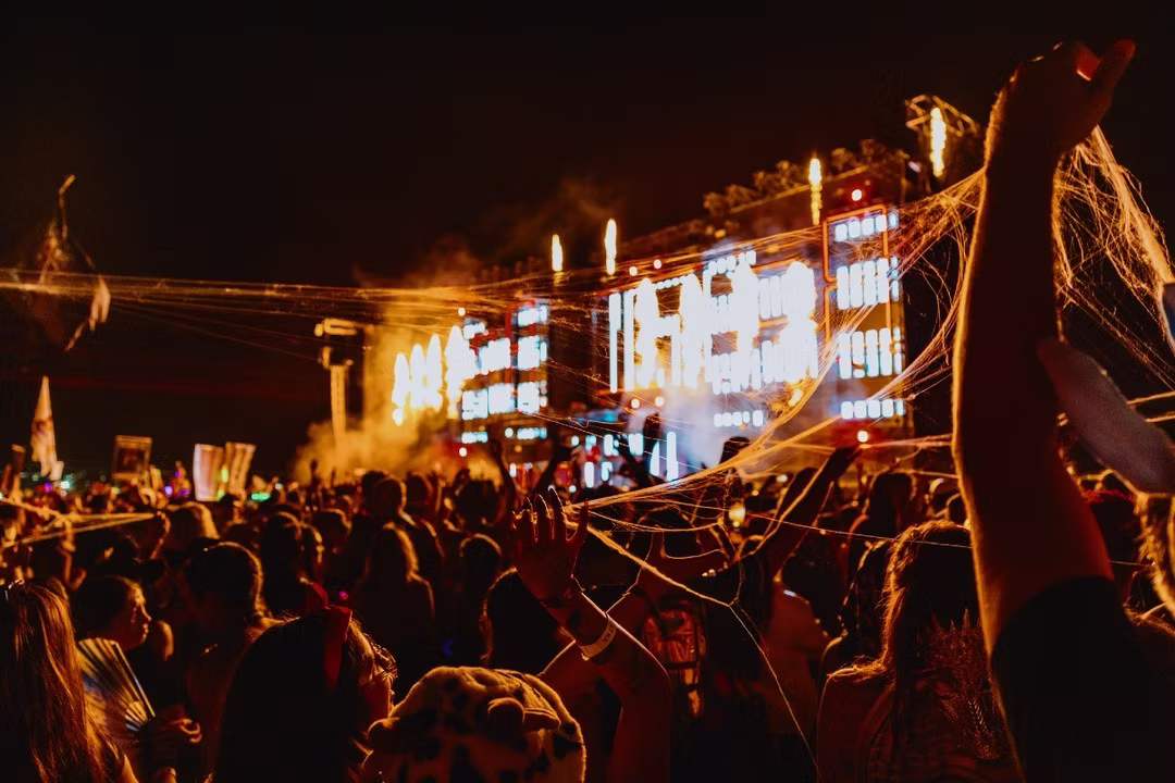 Festival Crowd